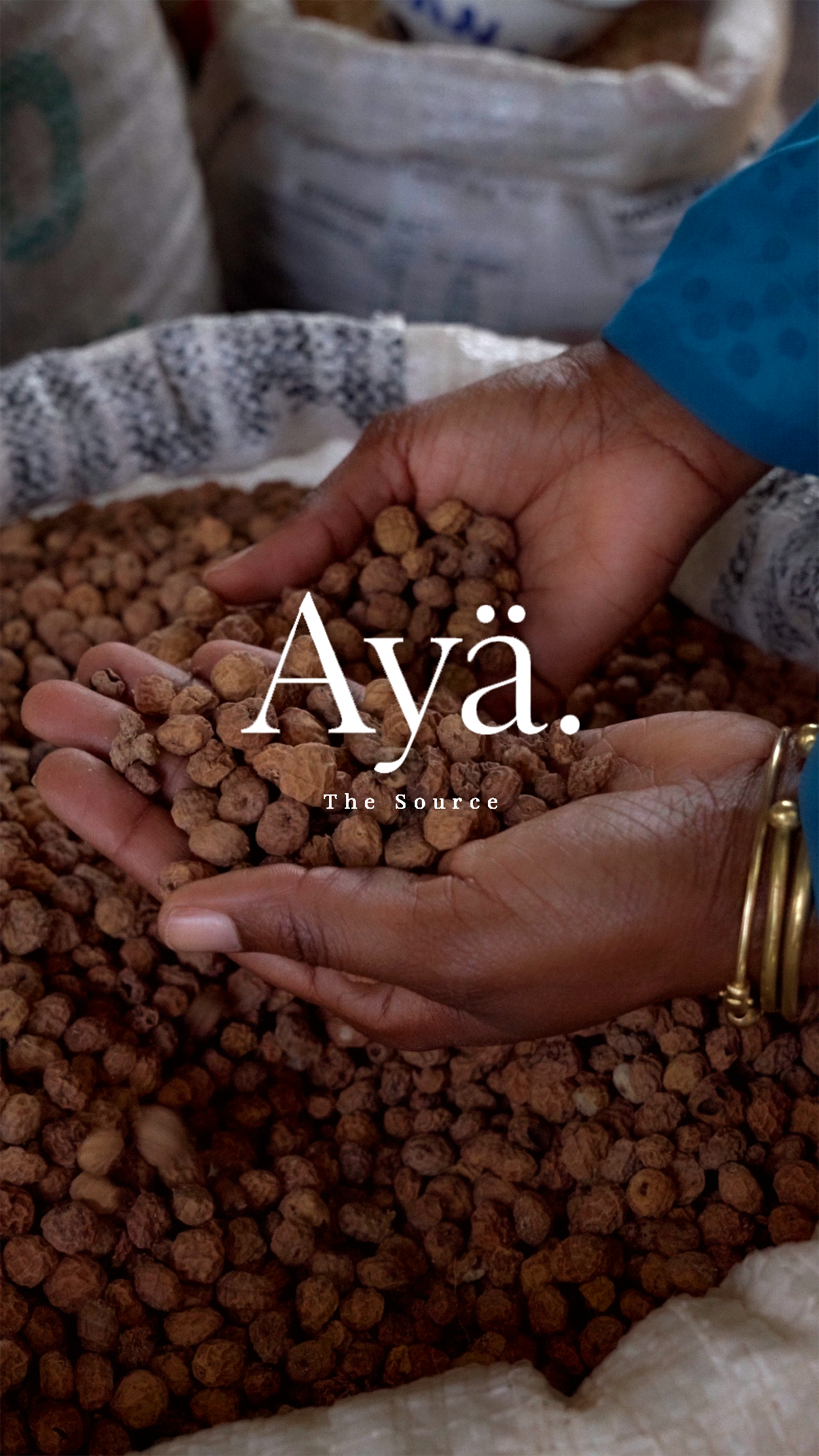 Ayä  | Tigernut oil collection