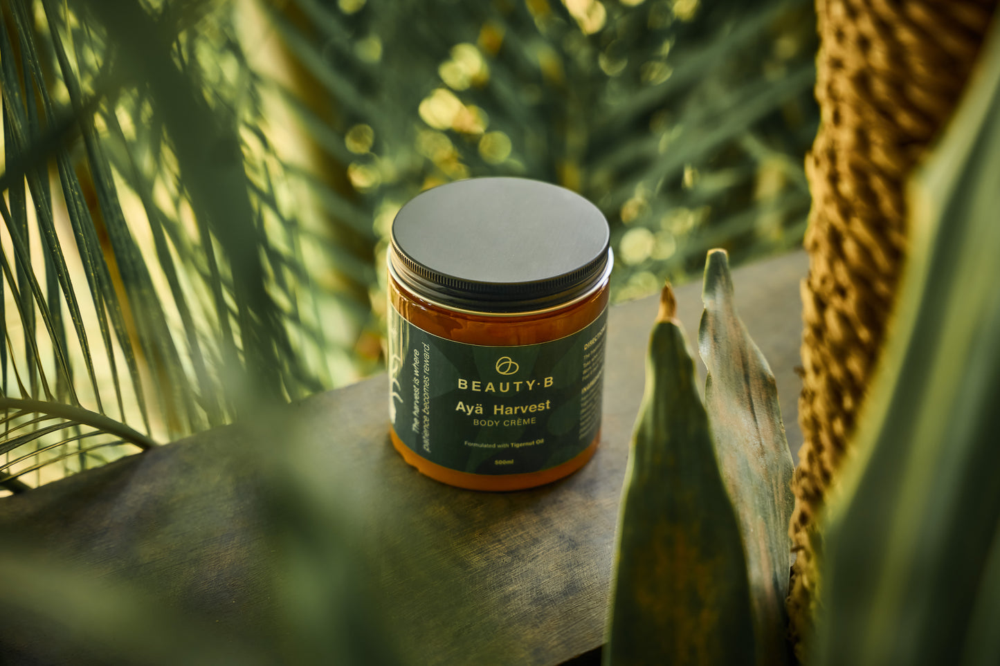 Ayä Harvest | Tigernut oil Body Crème